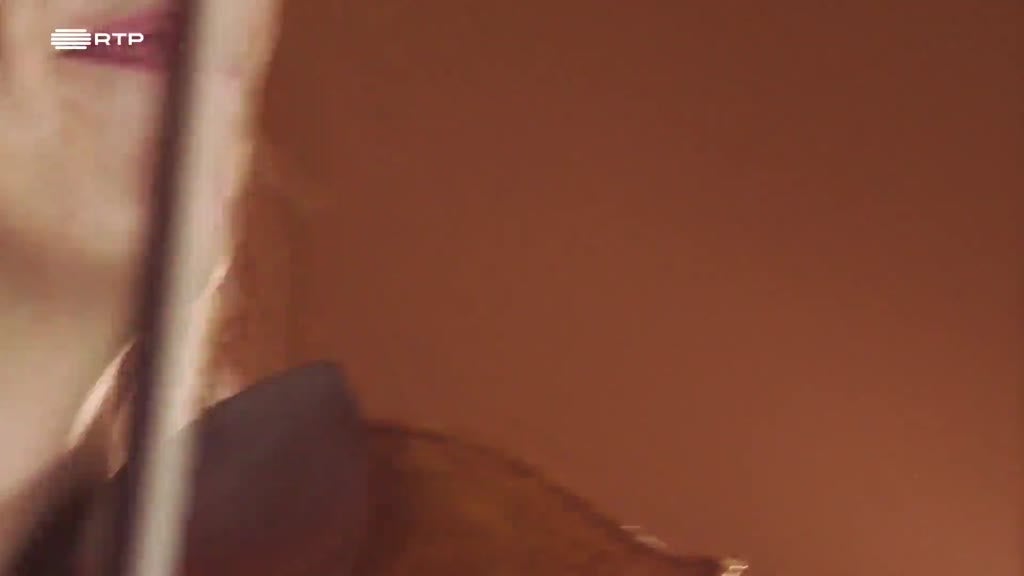 Imagem de Muito Barulho Para Nada - Luís Simões, Malú Garcia, Zélia Charraz Parreira, Francisco Pinto