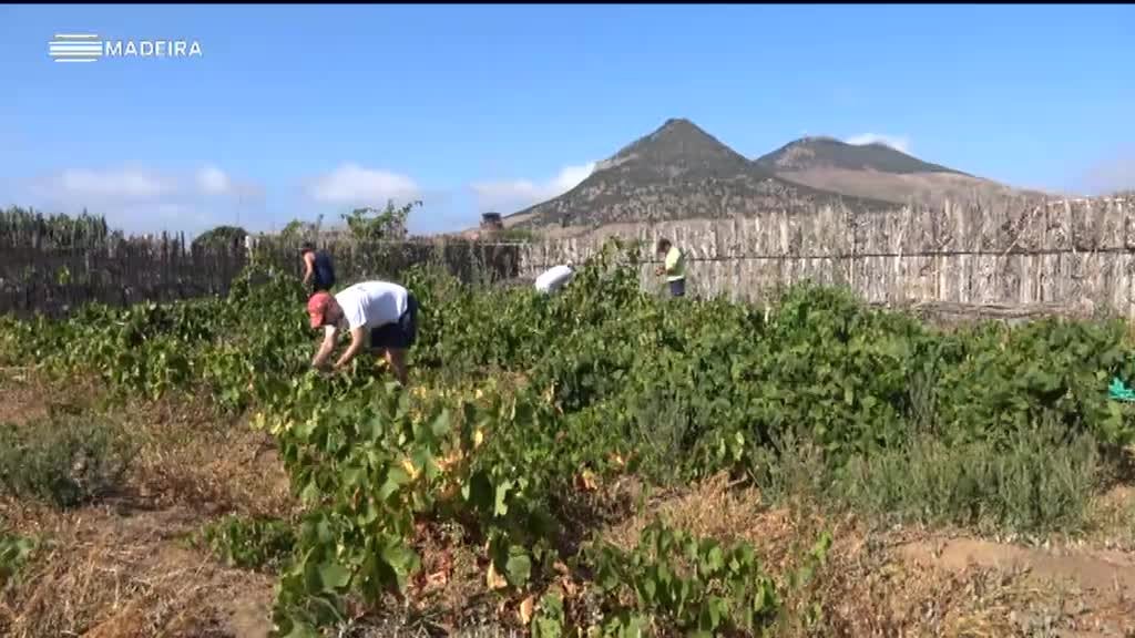 Imagem de Biosfera - Porto Santo
