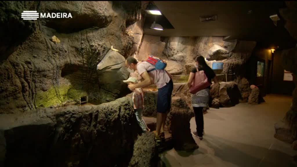 Imagem de Sentir a Madeira