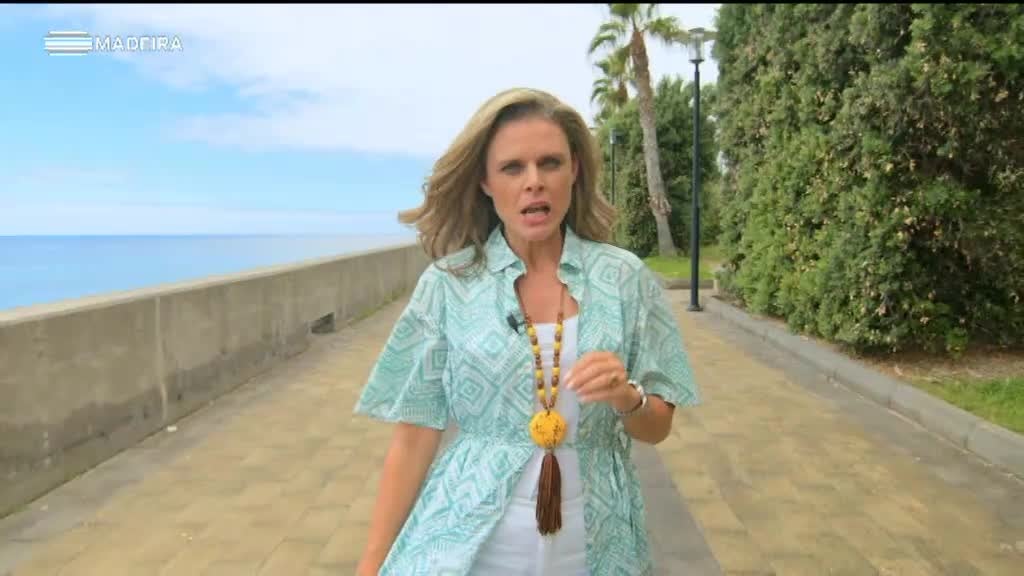 Imagem de Sentir a Madeira