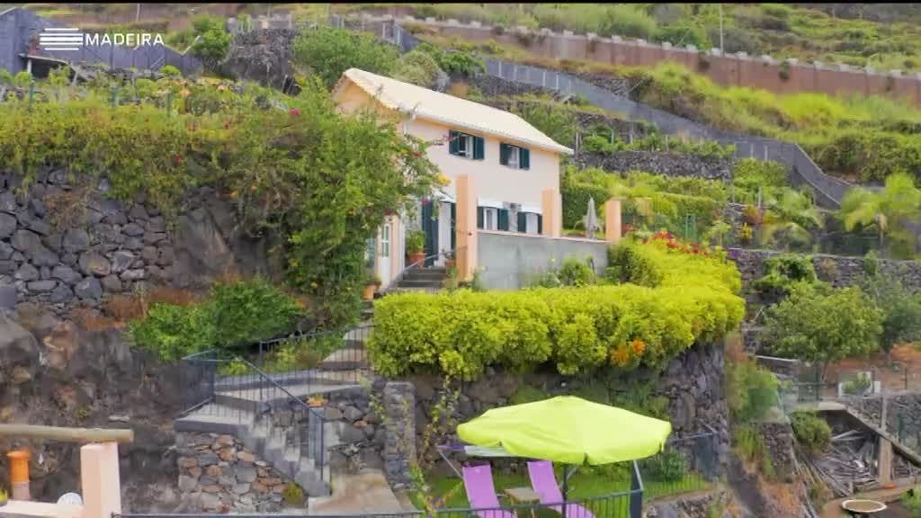 Imagem de Sentir a Madeira