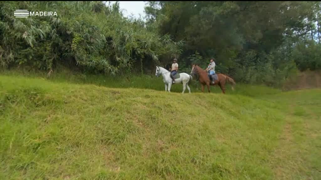 Imagem de Sentir a Madeira