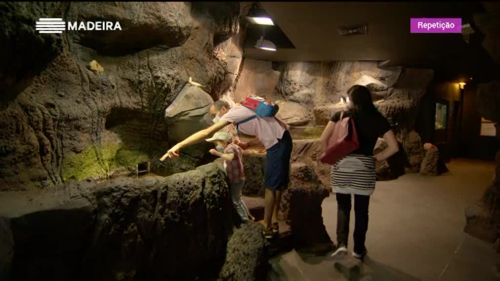 Imagem de Sentir a Madeira