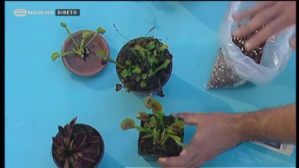 Imagem de Verão Cá Dentro 2020