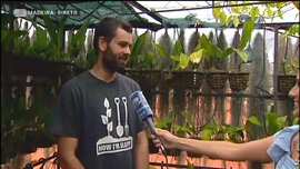 Verão Cá Dentro 2020