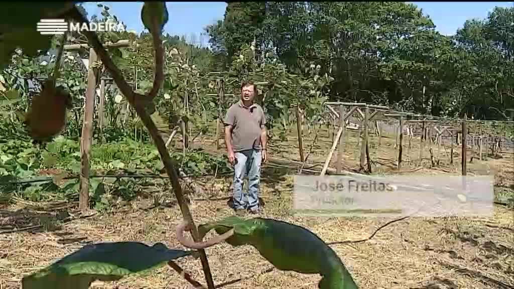 Imagem de Madeira Tem Sabor