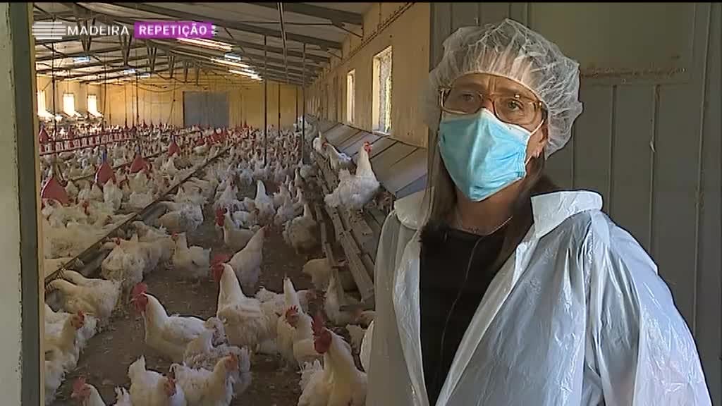 Imagem de Madeira Tem Sabor