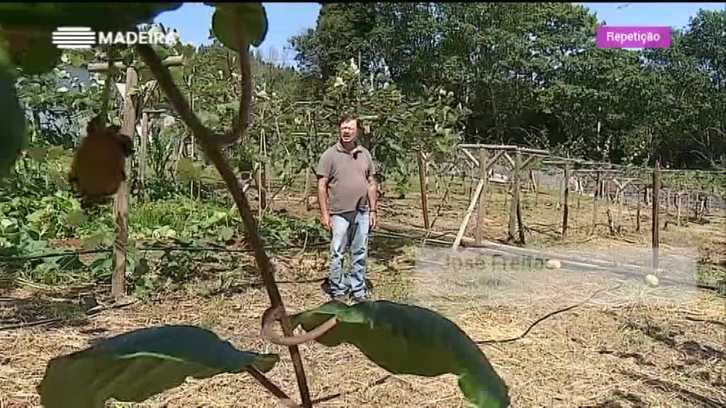 Imagem de Madeira Tem Sabor