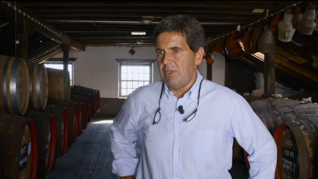 Imagem de Madeira Innovation Hub - Agro Indústria e Gastronomia