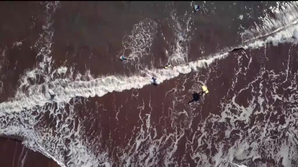 Imagem de Madeira Innovation Hub - Design e Natureza