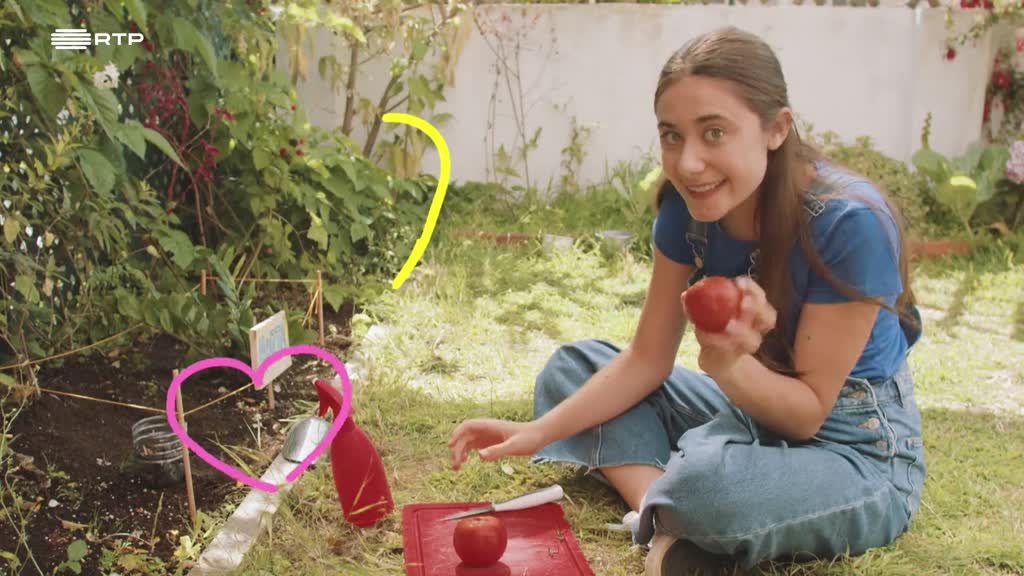 Imagem de ExperimentArte