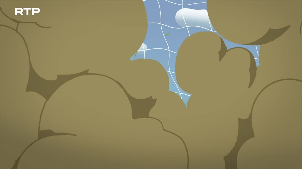 Imagem de Ensina-me Se Conseguires