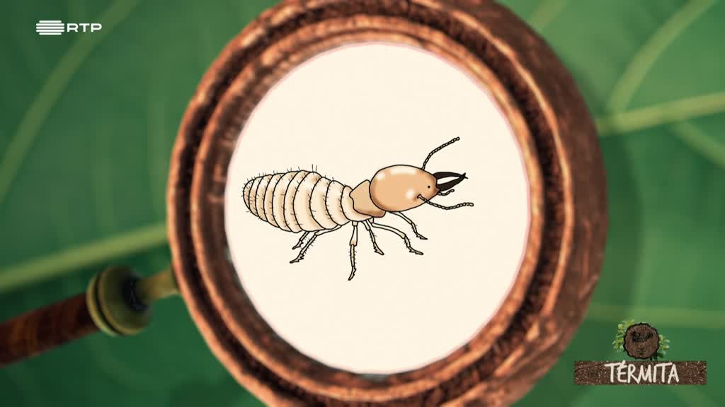 Imagem de Exploradores da Natureza - Tapada de Mafra