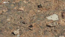 Imagem de Exploradores da Natureza