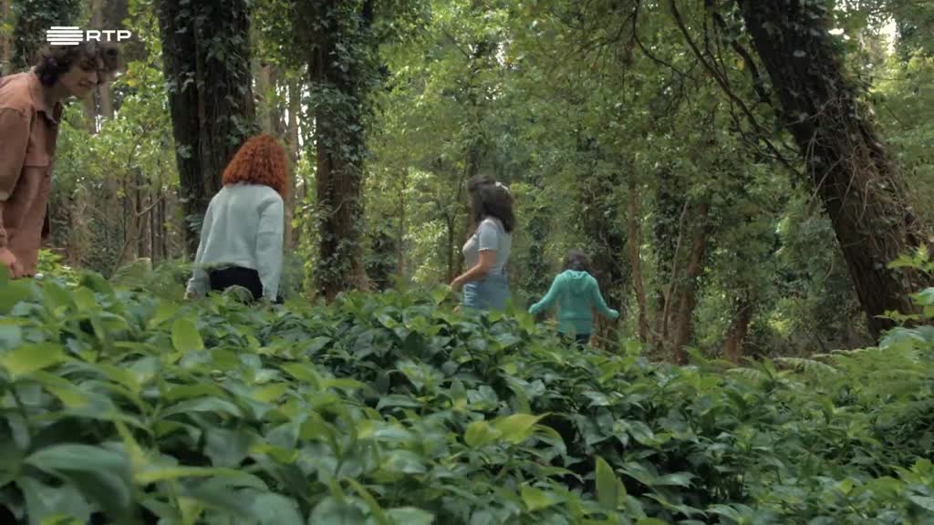 Imagem de Exploradores da Natureza - Reserva Botânica das Dunas de Tróia