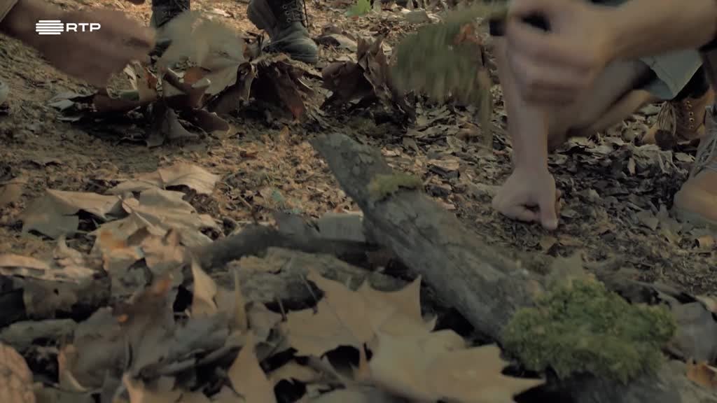 Imagem de Exploradores da Natureza - Reserva Natural do Sapal - Castro Marim