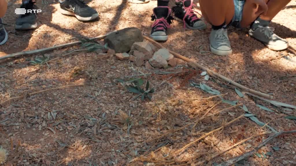 Imagem de Exploradores da Natureza - Parque Nacional da Arrábida