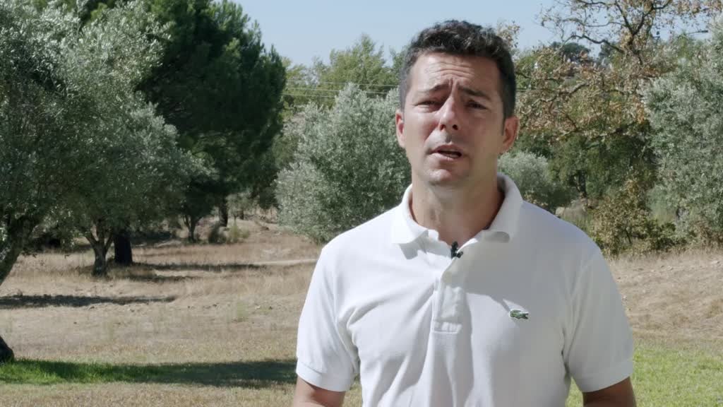 Imagem de PROMOVE. O Futuro do Interior - Agro Water Saving -Tecnologia de poupança de água, vencedor do Programa Promove na 1ª edição, em 2018