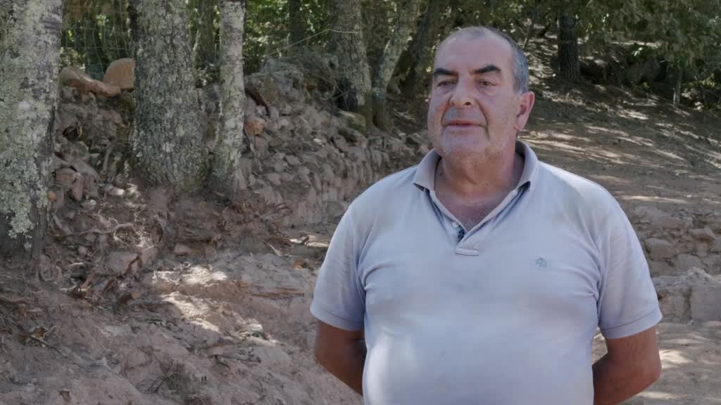 Imagem de PROMOVE. O Futuro do Interior - Descoberta e valorização do Anfiteatro de Ammaia, vencedor do Programa Promove na 2ª edição, em 2019