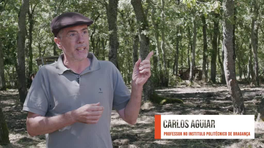 Imagem de PROMOVE. O Futuro do Interior - Projeto "Rebanhos Mais Clima Positivo", da Aguiar Floresta, vencedor do Programa Promove na 2ª edição, em 2019