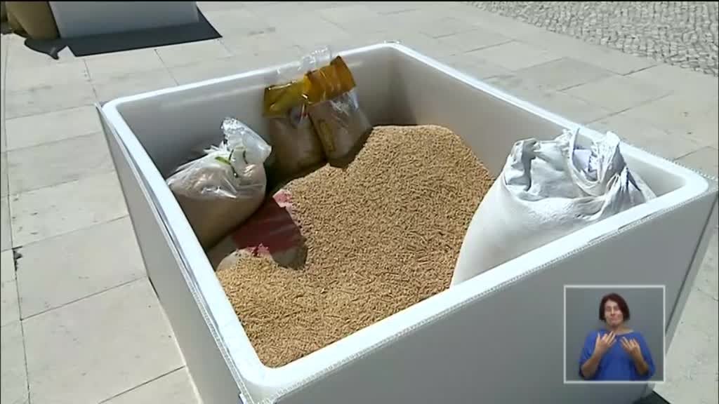 Imagem de Peregrinação Internacional do Migrante