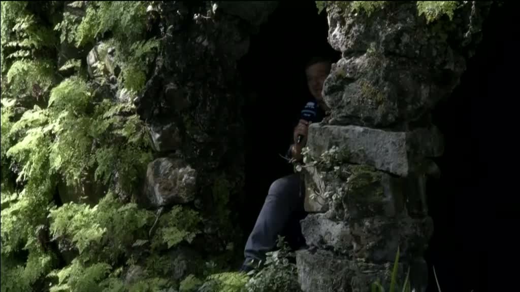 Imagem de Jardins Históricos - Parque Terra Nostra - São Miguel