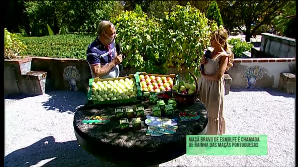 Imagem de Jardins Históricos - Vila Santar Jardim