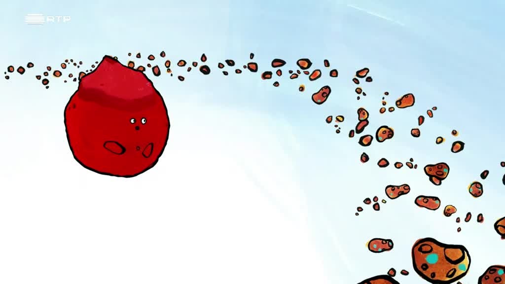 Imagem de O Pequeno Malabar