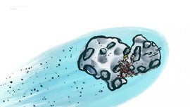 Imagem de O Pequeno Malabar