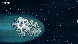 Imagem de O Pequeno Malabar