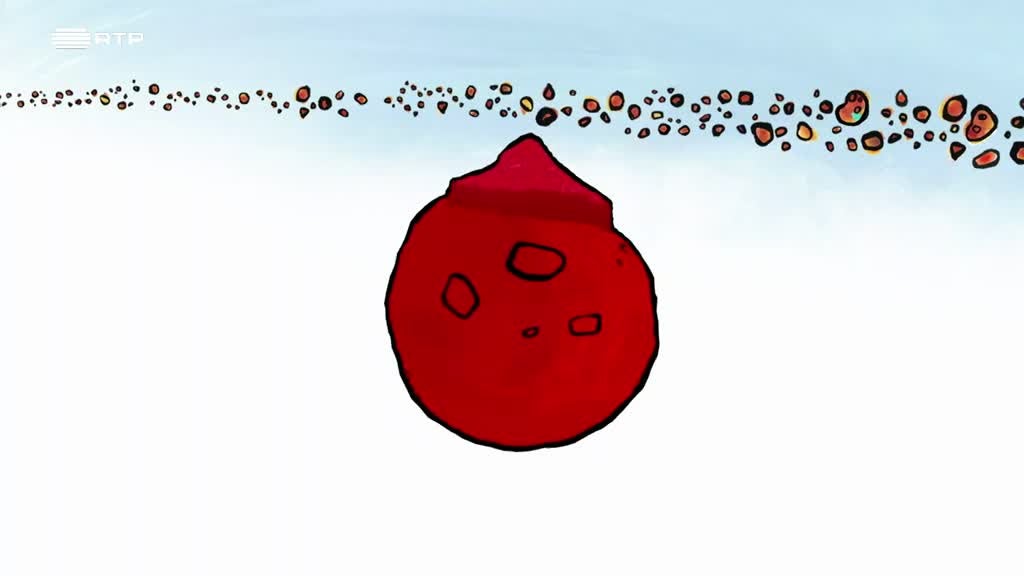 Imagem de O Pequeno Malabar