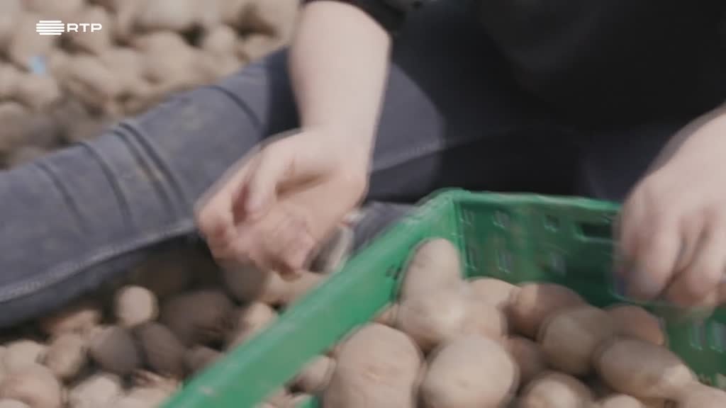 Imagem de Sim, Eu Consigo - Ada - Como Economizar Alimentos