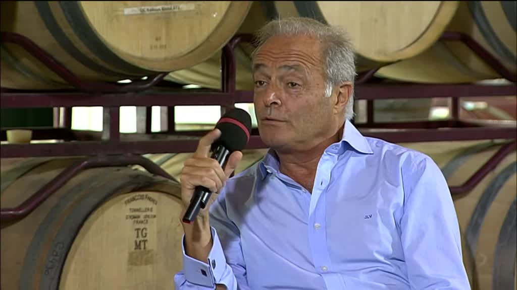 Imagem de Festa das Vindimas 2020 - Quinta do Casal Branco - Almeirim