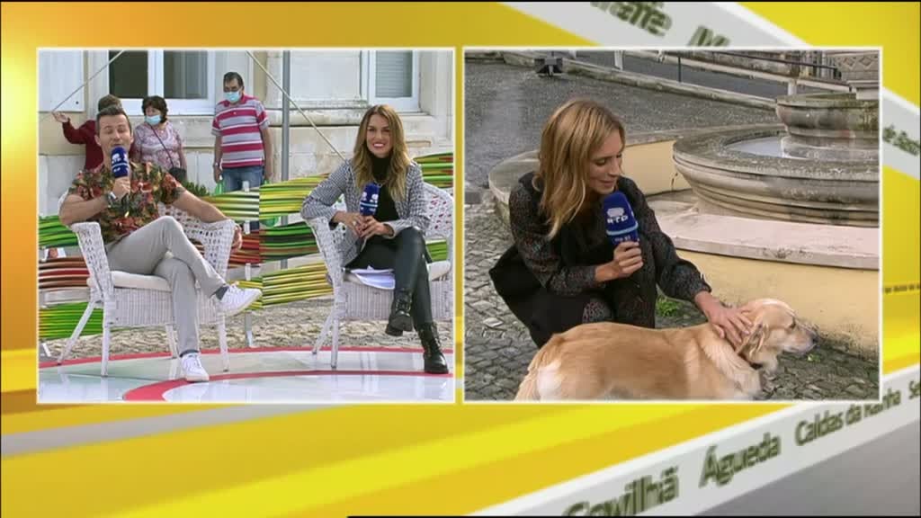 Imagem de Há Volta - Caldas da Rainha