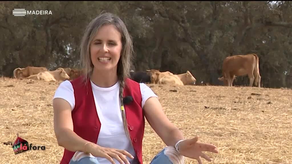 Imagem de Madeirenses Lá Fora