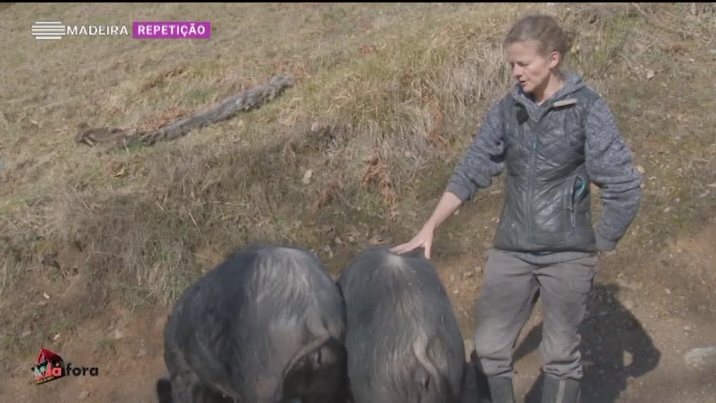 Imagem de Madeirenses Lá Fora