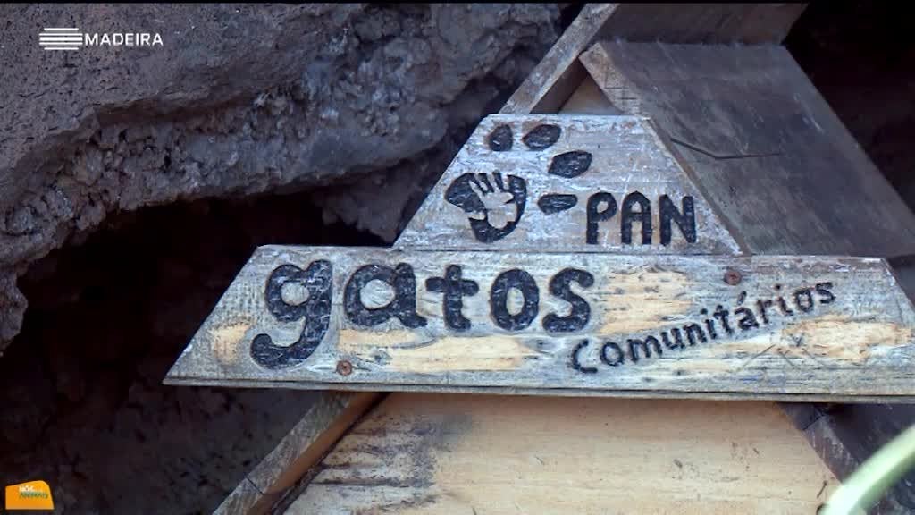 Imagem de Nós e os Animais