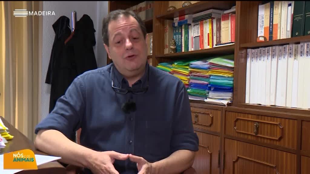 Imagem de Nós e os Animais