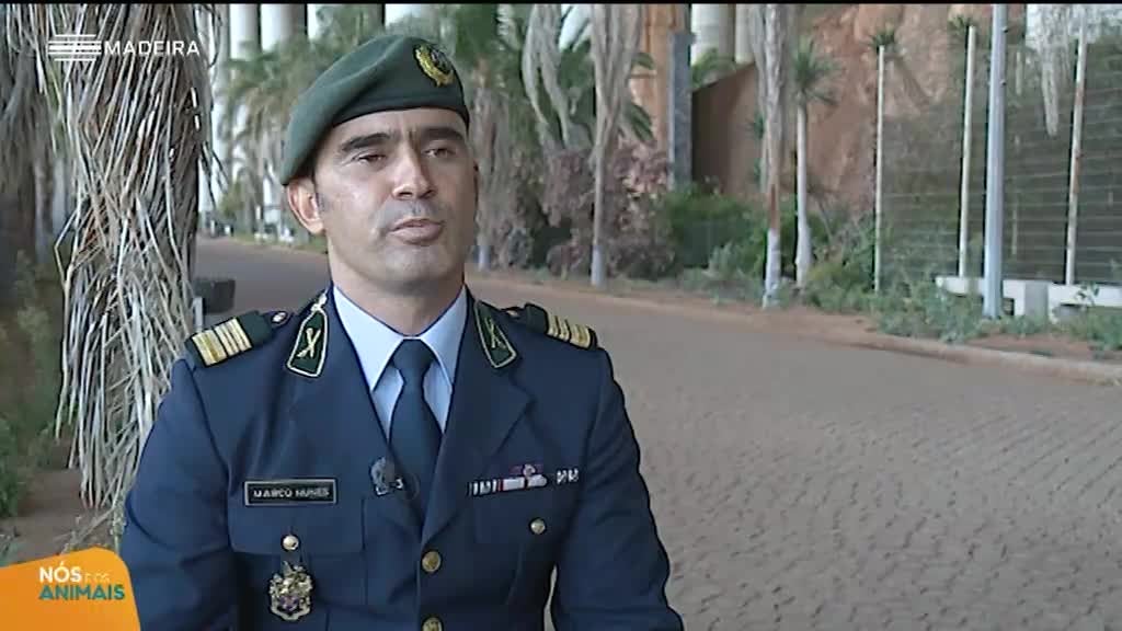 Imagem de Nós e os Animais