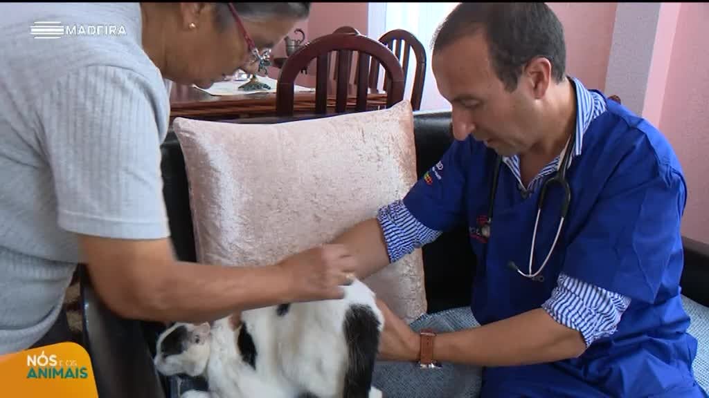 Imagem de Nós e os Animais