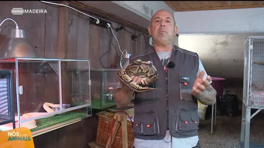 Imagem de Nós e os Animais