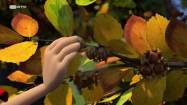 Imagem de Shane, O Chef