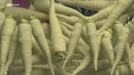 Imagem de Shane, O Chef