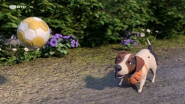 Imagem de Shane, O Chef