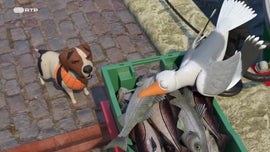 Imagem de Shane, O Chef