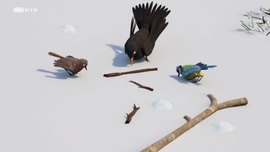 Imagem de Shane, O Chef