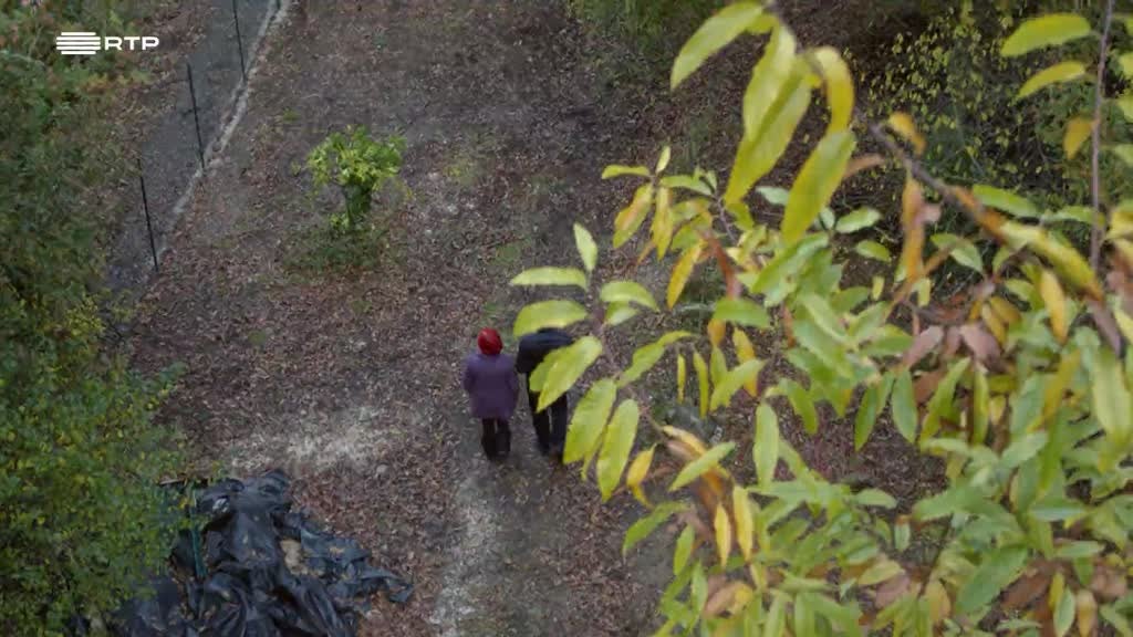 Imagem de Herdeiros de Saramago - Valter Hugo Mãe