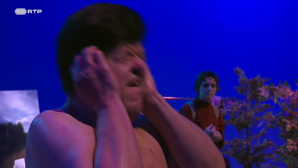 Imagem de Fala aos Bichos