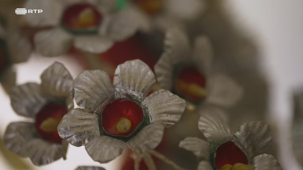 Imagem de Romaria do Meu Coração