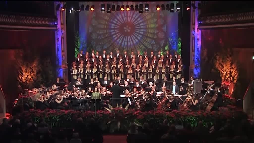 Imagem de Concerto Mágico Solidário - Viva Guin�